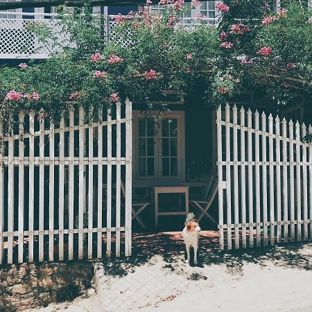 Nhà Tím Homestay Da Lat Esterno foto