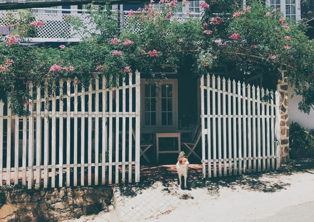 Nhà Tím Homestay Da Lat Esterno foto