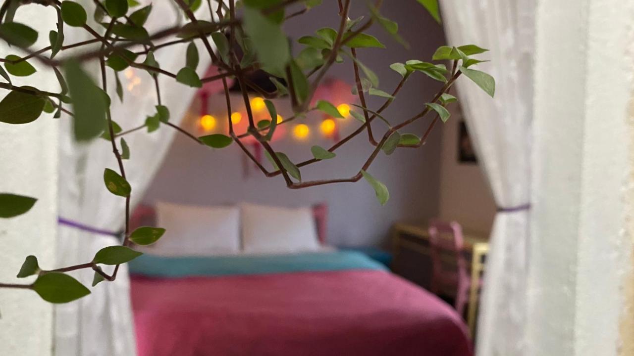 Nhà Tím Homestay Da Lat Esterno foto