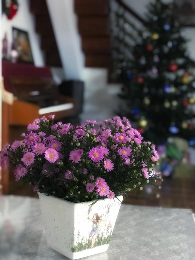 Nhà Tím Homestay Da Lat Esterno foto
